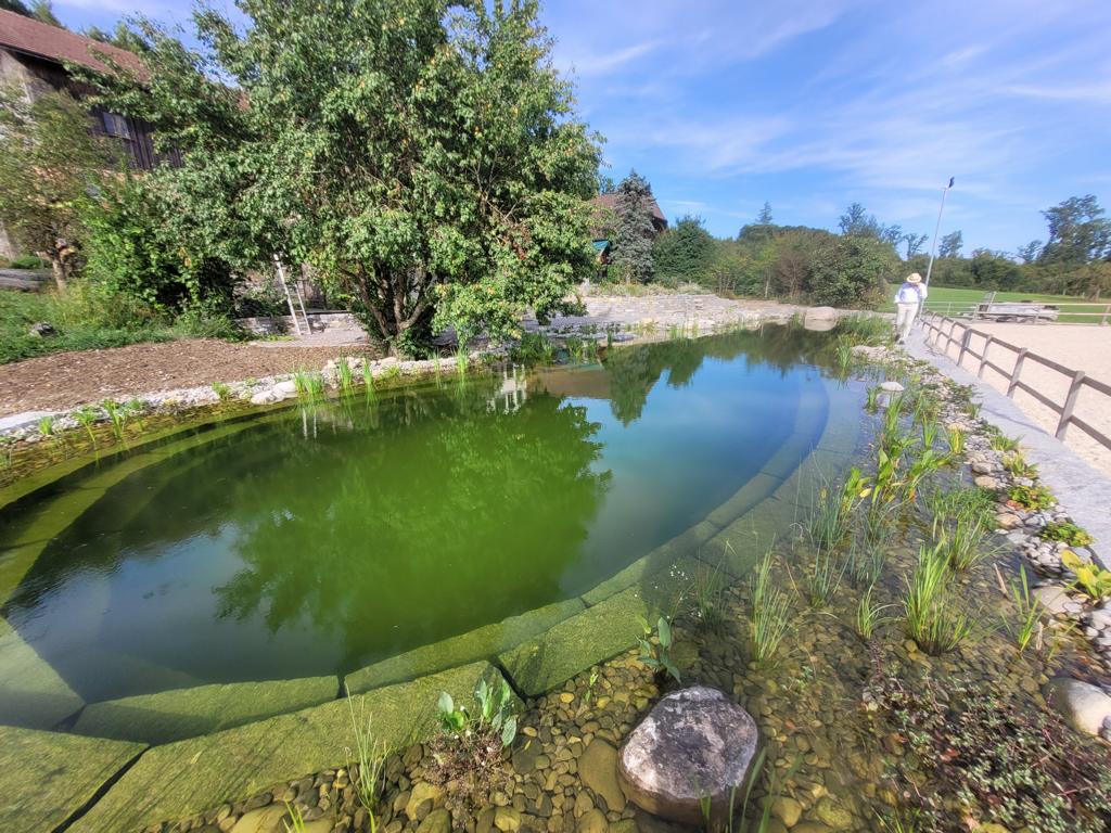 Naturpool